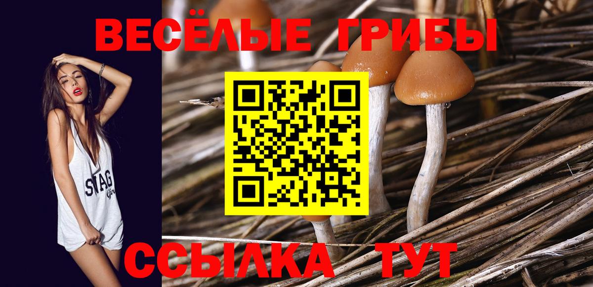 Псилоцибиновые грибы Psilocybine cubensis  Вход с VPN  Псилоцибиновые грибы мицелий  Людиново 