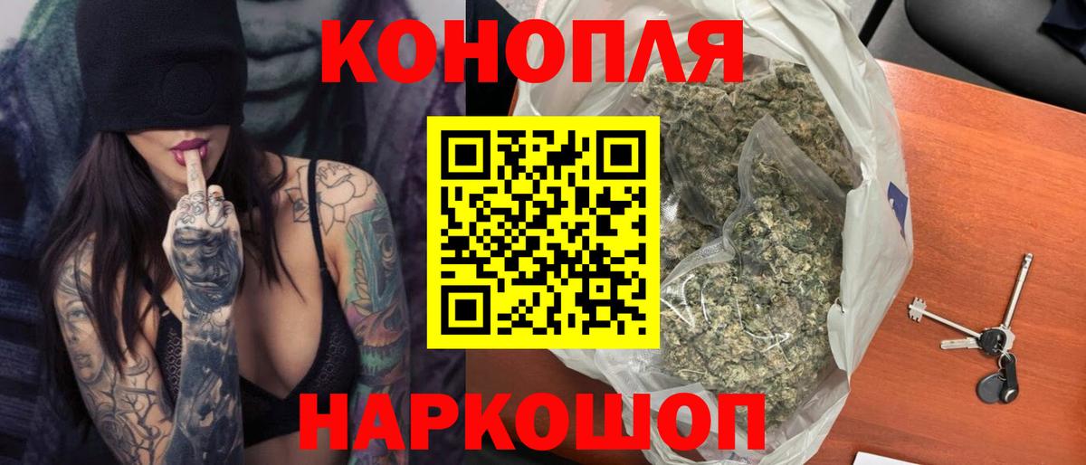 Бошки Шишки планчик Людиново